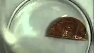 1.03_Penny for Your Thoughts: What's in a Penny