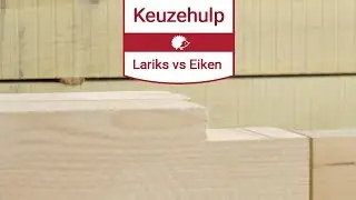 Lariks Douglas hout of Eikenhout kiezen? De verschillen