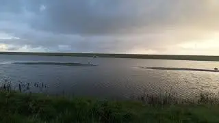 vogelkijkhut Balgzand
