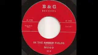 Mood &ndash; In The Amber Fields (1967 Garage Rock)