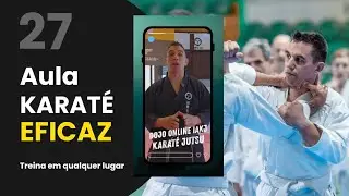 AGE UKE &mdash; Practical Defense in Karate Jutsu