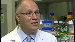 Stem Cells And Weakened Hearts