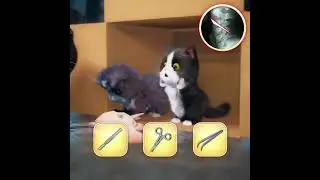 Color bird sort puzzle game play level 00 easy  tips and tricks# shorts# viral# subscribe# YouTube#