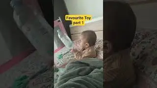 Favourite Toy #indianfamilyvlog #cutebaby #breakfastfood