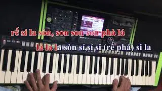 Hoc Organ Online # solo nốt đêm buồn tỉnh lẻ