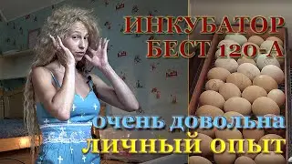 Честный отзыв про Инкубатор БЕСТ 120А. Супер инкубатор. Инкубатор для 100% вывода. Но Есть и минусы.