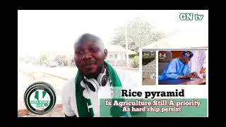 #ricepyramid #food &lrm;@greennigeriaradioshow&nbsp;/Meshach Yager