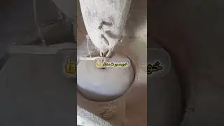 Chitrali floor mill 👌traditional way to drain wheat,, #youtube #Chitraliculture💞❤️❤️ #villagelife👌