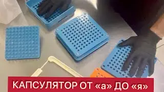 КАК РАБОТАЕТ КАПСУЛЯТОР ОТ «А» до «Я» МИКРОДОЗИНГ #грибы #обзор #микродозингмухомора 
