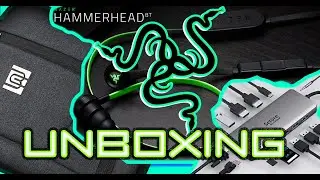 ✨❤️&zwj;🔥اشياء جديدة من امازون- Razer headphone - Bruno Cavalli- selore & s✨❤️&zwj;🔥