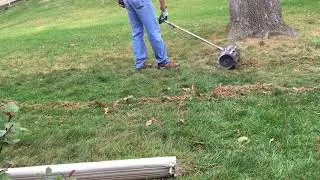 Best way to pick up Acorns