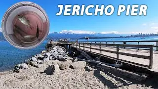 Fishing & Exploring the Jericho Pier || Ocean Pier Fly Fishing in Vancouver, BC