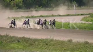 Slow motion horse racing. Jockeys run horses. Clouds of dust rise after riders. Horseback Riding.