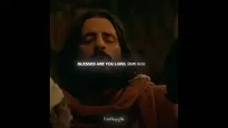 Stephen Meyer Answers: Why Does God Allow Evil
