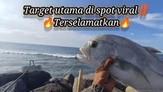 Mancing di spot viral ‼️ Target utama terselamatkan ‼️umpan udang hidup