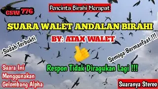 SP ST SI ANDALAN BIRAHI ORIGINAL BY ATAX WALET | SUARA INI SANGAT COCOK UNTUK AMPLI PIRO MW-88