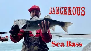 This Got Dangerous | Sea Bass Fishing Cornwall #fishingCornwall