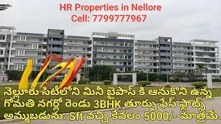 మన నెల్లూరులో మినీ బైపాస్ కి ఆనుకొని ఉన్న గోమతి నగర్లో రెండు తూర్పు ఫేస్ 3BHK క్రొత్త flats కలవు.
