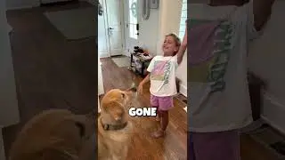 Her dog did the dentist&rsquo;s job ❤️😂