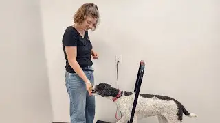 Caydon's Summer Internship at Sol Dog Lodge and Training Center