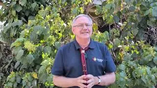 Scouting Family News - October 2025