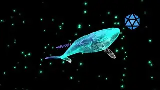 GodWhale REALLY LIKES Hedron and Icosa  🐳