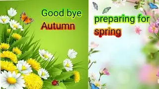 Goodbye Autumn 🍁 | Lawn Preparation for Spring 🌸 | Garden Care Tips