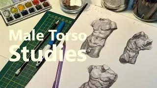 Drawing the Male Torso - Studying with Ballpoint Pen