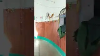 baba Haider shah bukhari Rohit cholistan mein hai jo AC ki video hai isko bhikhariyon per chal