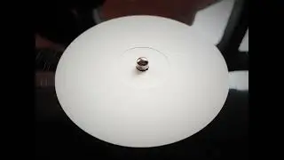 Eva808 - It's Me Bitch (2020)