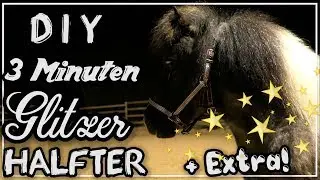 3 Minuten Glitzer Halfter OHNE TALENT & OHNE NÄHEN selber machen ✮ DIY ♥ + Extra!