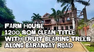 NOV502 Retirement farm house and lot 1,200 sqm 5 bedrooms fully fenced along barangay road