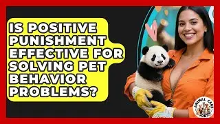 Is Positive Punishment Effective For Solving Pet Behavior Problems? - Animal Care Jobs