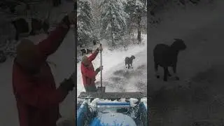 How We Get Up Our Icy Steep Driveway!💥 #offgrid #inspiration #tractor #livinglife #snow #winter