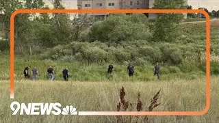 Body found in Westminster field