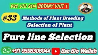 Pureline Selection | Plant Breeding | Bsc 6th Semester Botany