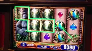 Queen of the Wild Slot Machine --- Big Win