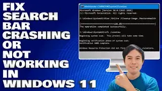How To Fix Search Bar Crashing or Not Working in Windows 11/10