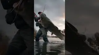 Catfish Attack (Part 2) | #giantcatfish #fishing #crazymoment #river #bigfish