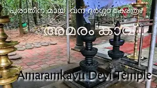 Amaramkavu: Kerala&rsquo;s Hidden Forest Temple! | Thodupuzha's Sacred Grove Mystery |  വനദേവിയുടെ ആലയം! 