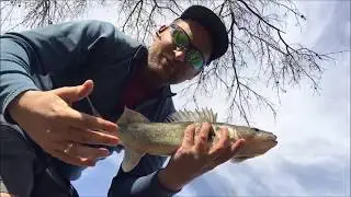Highway Bassin Iowa 4-20 LyubakaVideo - X-Rap Walleye