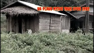 Ua plaub nyiag taus lim hiam xyoo 1982