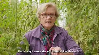 Rep. Pingree Reintroduces Bill to Put U.S. on Path to Net-Zero Agriculture Emissions