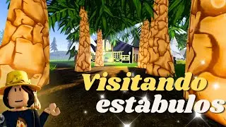 VISITANDO ESTABULOS  no Wild Horse Islands!!