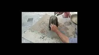 plant pot