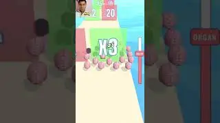Evolve Run 🤥🦮🤹&zwj;♂️ IOS Android Gameplay Levels #5 JAU43 HAYY4
