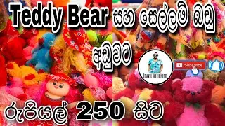 Teddy Bear සහ සෙල්ලම් බඩු අඩුවට|Colombo Pitakotuwa Street Shopping| Travel with Niro