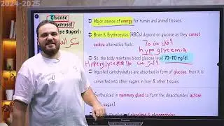 حلقة 3 كاربوهيدرات Importance of monosaccharides شرح ٢٠٢٤-٢٠٢٥ د أشرف البرعى