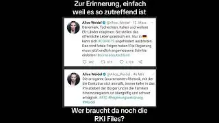 RKI Files #afd #coronavirus #panikmache