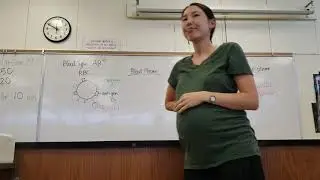 Rh/D antigens/ antibodies in blood types